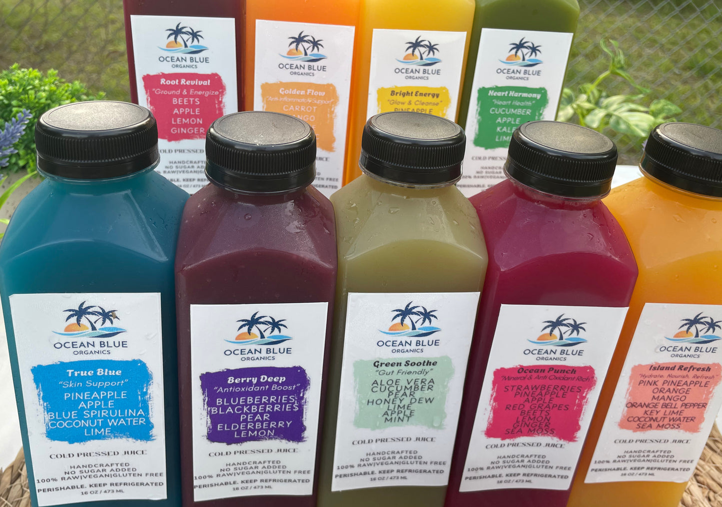 Sunset Sips 6-Pack